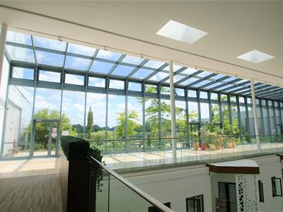 Picture 10